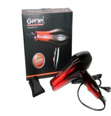 No.Фен для волосся GEMEI GM-1719 (40)