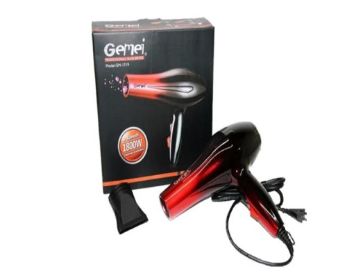 No.Фен для волосся GEMEI GM-1719 (40)