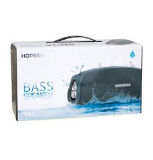 Колонка Hopestar H43 (30)