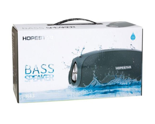 Колонка Hopestar H43 (30)