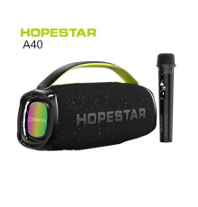 Колонка Hopestar A40 70W (з мікрофоном) (8)