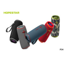Колонка Hopestar P34 (20)