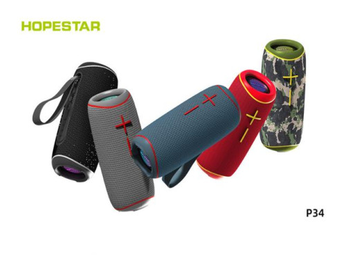 Колонка Hopestar P34 (20)